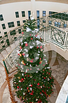 Decorated Christmas tree insade of the beautiful buildings