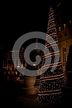 Decorated Christmas tree