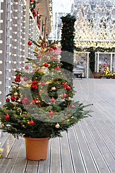 Decorated Christmas tree in pot on the street at the Festival `Journey to Christmas`