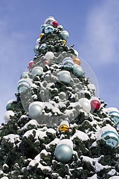 Decorated Christmas Tree with Snow