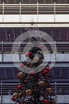 Decorated Christmas tree with star on top at a city square.