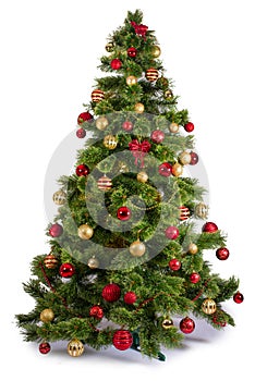 Decorated Christmas tree on white background