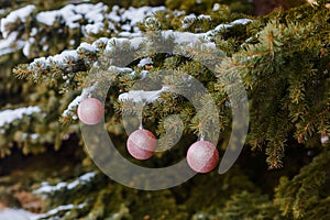 Decorated christmas tree in winter in the forest