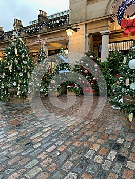 Decorated Christmas trees for sale in London`s Covent Garden.