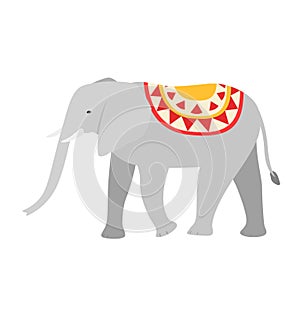 Decorated circus elephant standing side view. Grey elephant with red and yellow blanket vector illustration