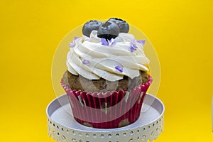 Decorated cupcake - front view