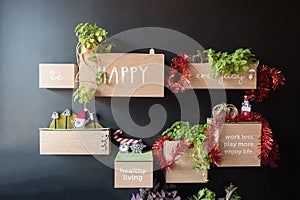 Decorated dark wall with cute stuffs on wooden shelf