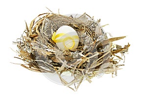 Decorated Easter egg in nest