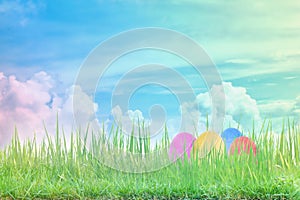 Decorated easter eggs in the grass with blue sky