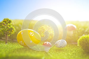 Decorated easter eggs in green grass on sunset sky background.