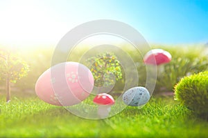 Decorated easter eggs in green grass on sunset sky background.
