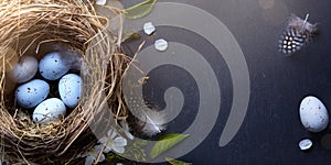 Decorated Easter eggs in nest and spring flower on table background
