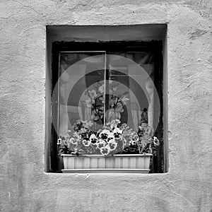 A faÃ§ade with window and flowers Transylvania Romania photo