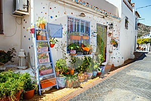 Decorated facade of house with flowers