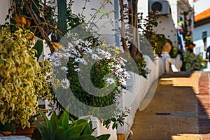 Decorated facade of house with flowers