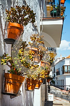 Decorated facade of house with flowers