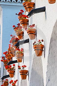 Decorated facade of house with flowers