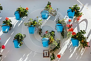 Decorated facade of house with flowers in blue pots