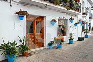 Decorated facade of house with flowers in blue pots