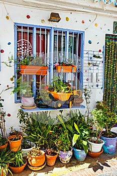 Decorated facade of house with flowers in blue pots