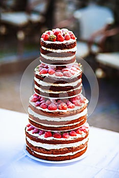 Decorated by fruits colorful naked cake, rustic style for weddings, birthdays and events. Beautiful wedding cake, close up of cake