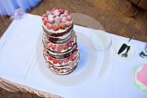 Decorated by fruits colorful naked cake, rustic style for weddings, birthdays and events. Beautiful wedding cake, close up of cake photo