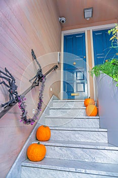 Decorated home entrance with blue front door and marble stairs-San Francisco, CA