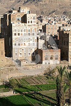 The decorated houses of old Sana