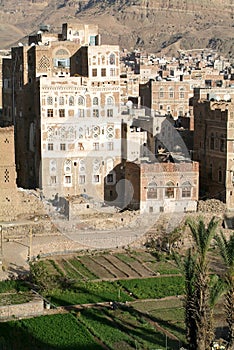 The decorated houses of old Sana photo