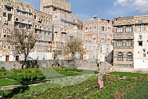 The decorated houses of old Sana