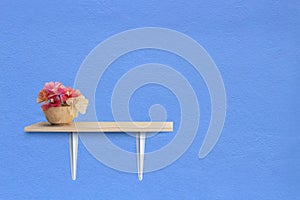 Decorated interior on shelf with flower. Blue wall texture background