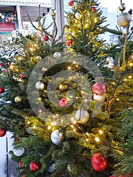 Decorated with lights and toys for Christmas, live Christmas trees under the snow