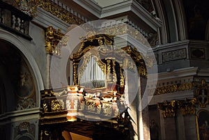 Decorated organ