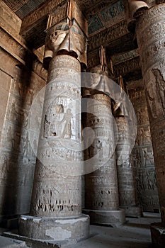 Decorated pillars and ceiling in Dendera temple, Egypt photo