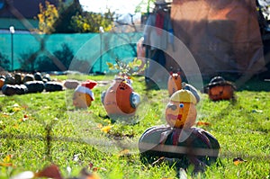Decorated pumpkings in a garden