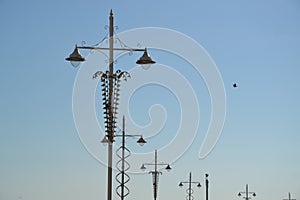 Decorated streetlamps along the esplanade