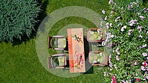 Decorated table with cheese, strawberry and fruits in beautiful summer rose garden, aerial top view of table food and drinks