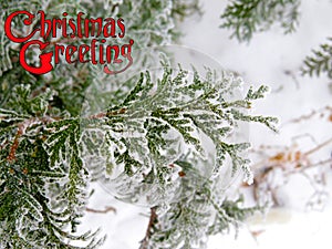 Decorated text Christmas Greetings design winter congratulations card.