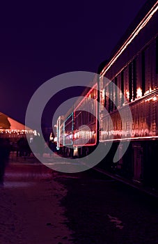 Decorated Train Cars photo