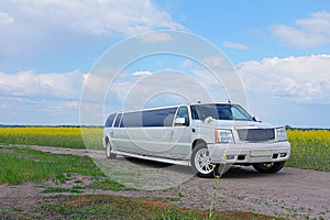 a decorated wedding jeep limousine Cadillac Escalade stands in a blooming field of rice against a clear blue sky in