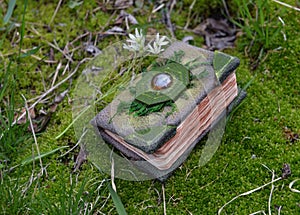 Decorated witch book of spells on the moss in the forest