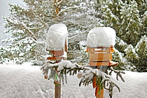 Decorated wooden bird feeders with meshed bags