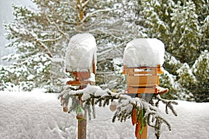 Decorated wooden bird feeders with meshed bags photo