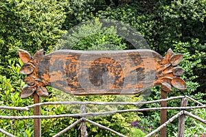 Real wooden blank signpost with a forest background photo