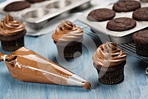 Decorating Chocolate Cupcakes with Frosting