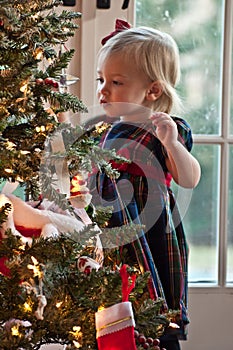 Decorating The Christmas Tree photo