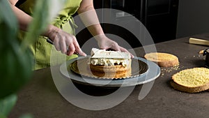 Decorating a delicious cake with icing cream