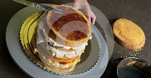 Decorating a delicious cake with icing cream