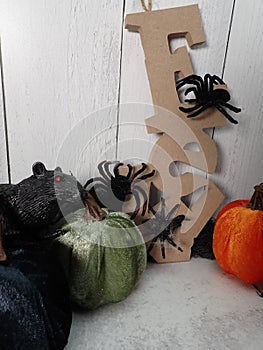 EEK, Halloween decorations - spiders, rats, pumpkins