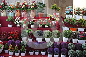 Decoration artificial flower in shop.